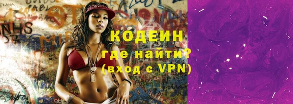 спиды Богородицк
