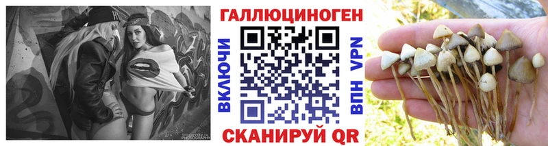 Галлюциногенные грибы мухоморы  Ленинградская 